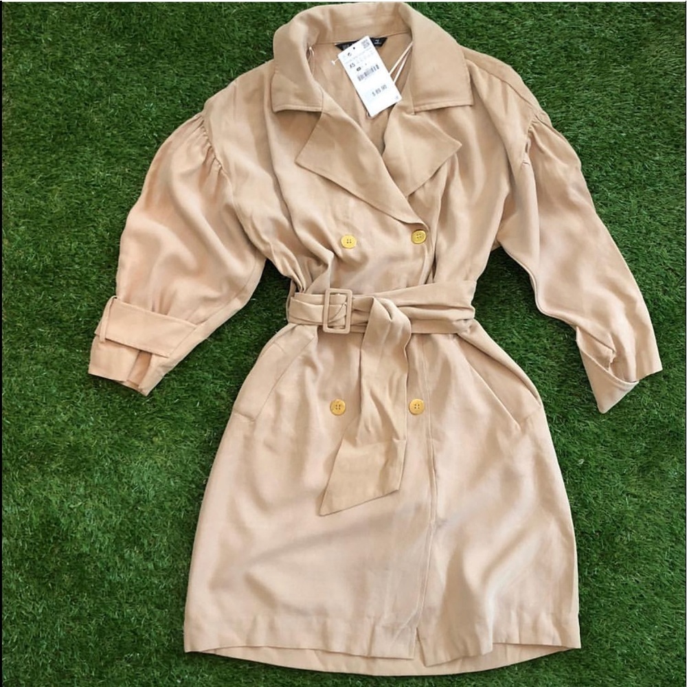 Zara fall dress